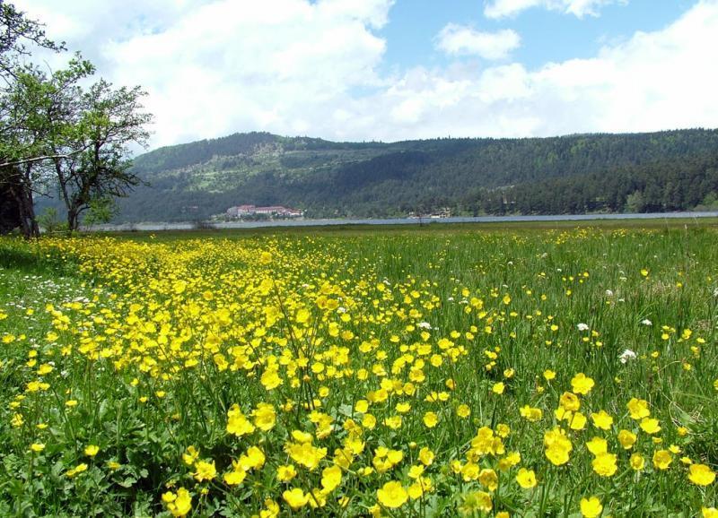 Abant Dört Mevsim Konağı Butik Otel Bolu Dış mekan fotoğraf